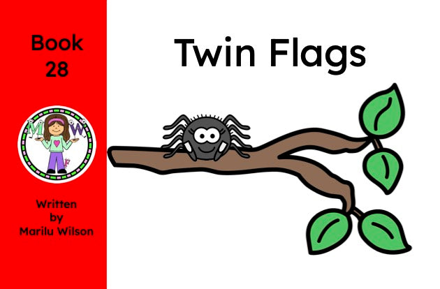 Twin Flags Book 28