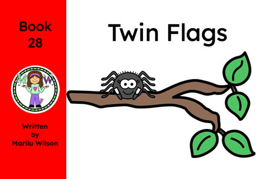 Twin Flags Book 28